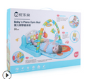 Baby Play Gym with Piano and Activity Mat